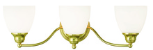  13673-02 - 3 Light Polished Brass Bath Light