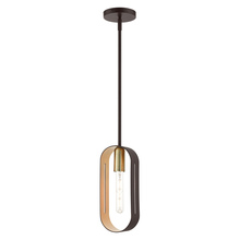  45761-07 - 1 Lt Bronze with Antique Brass Accents Pendant