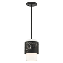  46259-04 - 1 Lt Black Pendant