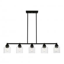  49765-04 - 5 Light Black Linear Chandelier