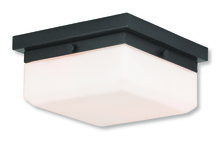  65536-92 - 2 Light EBZ Wall Sconce/Semi Flush