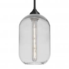  1TT-OMEGA12CL-EDIL-BK - Besa, Omega 12 Stem Pendant, Clear, Black Finish, 1x4W LED Filament