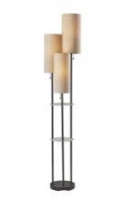  4305-01 - Trio Shelf Floor Lamp