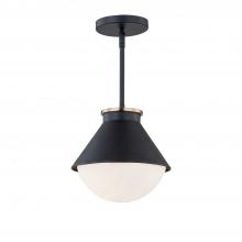  FSN-7686W-OPAL-MBBR - Ravelle Medium Outdoor Pendant