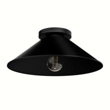  46022 - Hunter Skyflow Matte Black 1 Light Medium