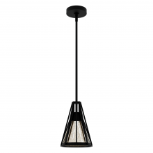  19455 - Hunter Rafner Natural Black Iron with Mercury Glass Glass 1 Light Pendant Ceiling Light Fixture