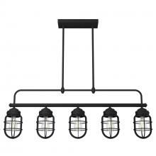  19667 - Hunter Starklake Natural Black Iron 5 Light Chandelier Ceiling Light Fixture