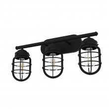  19845 - Hunter Starklake Natural Black Iron 3 Light Medium Bathroom Vanity Wall Light Fixture