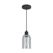  19201 - Hunter Lochemeade Natural Black Iron with Smoked Glass 1 Light Pendant Ceiling Light Fixture