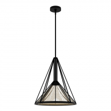  19453 - Hunter Rafner Natural Black Iron with Mercury Glass Glass 1 Light Pendant Ceiling Light Fixture