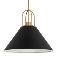  13165 - Hunter Carrington Isle Matte Black and Luxe Gold 1 Light Pendant Ceiling Light Fixture