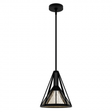  19449 - Hunter Rafner Natural Black Iron with Mercury Glass Glass 1 Light Pendant Ceiling Light Fixture