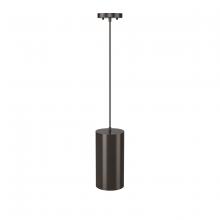  2961-PBZ - Outdoor Hanging Pendant