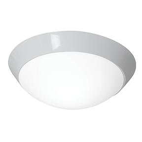 Two Light Wh  Opl  Glass Bowl Flush Mount