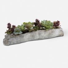  60174 - Uttermost Charita Lush Succulents