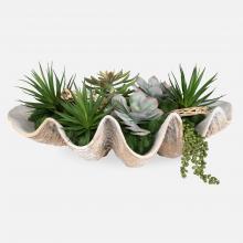  60233 - Uttermost Seaside Breeze Succulents