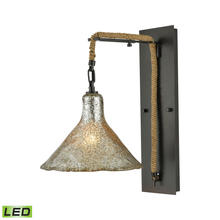  10436/1SCN-LED - SCONCE