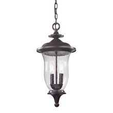  8002EH/75 - Thomas - Trinity 9'' Wide 2-Light Outdoor Pendant - Oil Rubbed Bronze