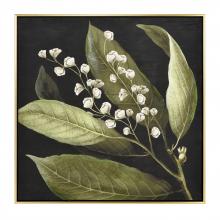  S0016-10168 - Botanical Study I Framed Wall Art