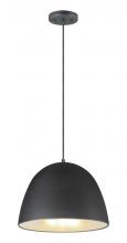  E24914-BKSBR - Fungo-Single Pendant